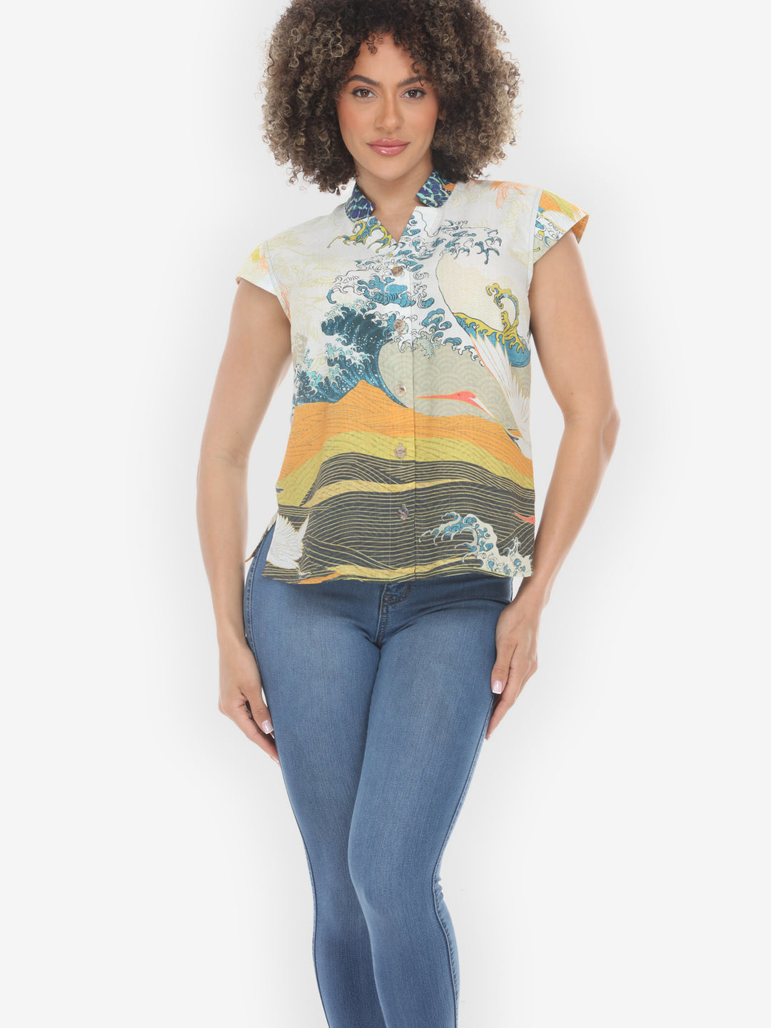 Crane Flying Sky Cap Sleeve Blouse