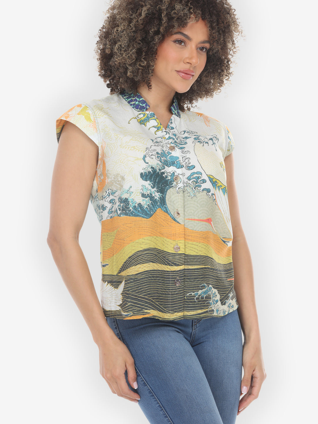 Crane Flying Sky Cap Sleeve Blouse