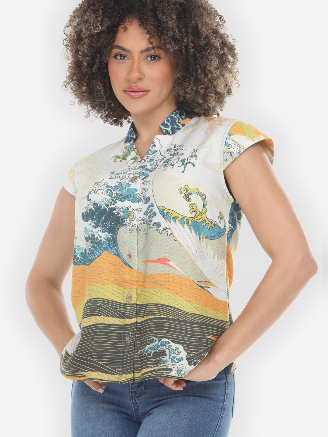 Crane Flying Sky Cap Sleeve Blouse